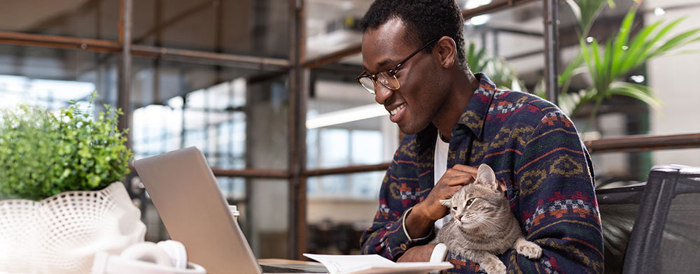 doing the books with the cat